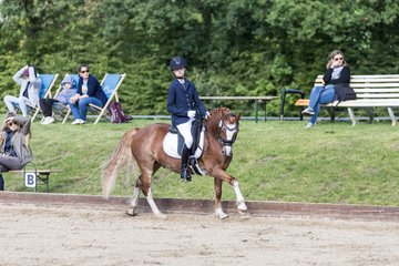 Bild 325 - Pony Akademie Turnier